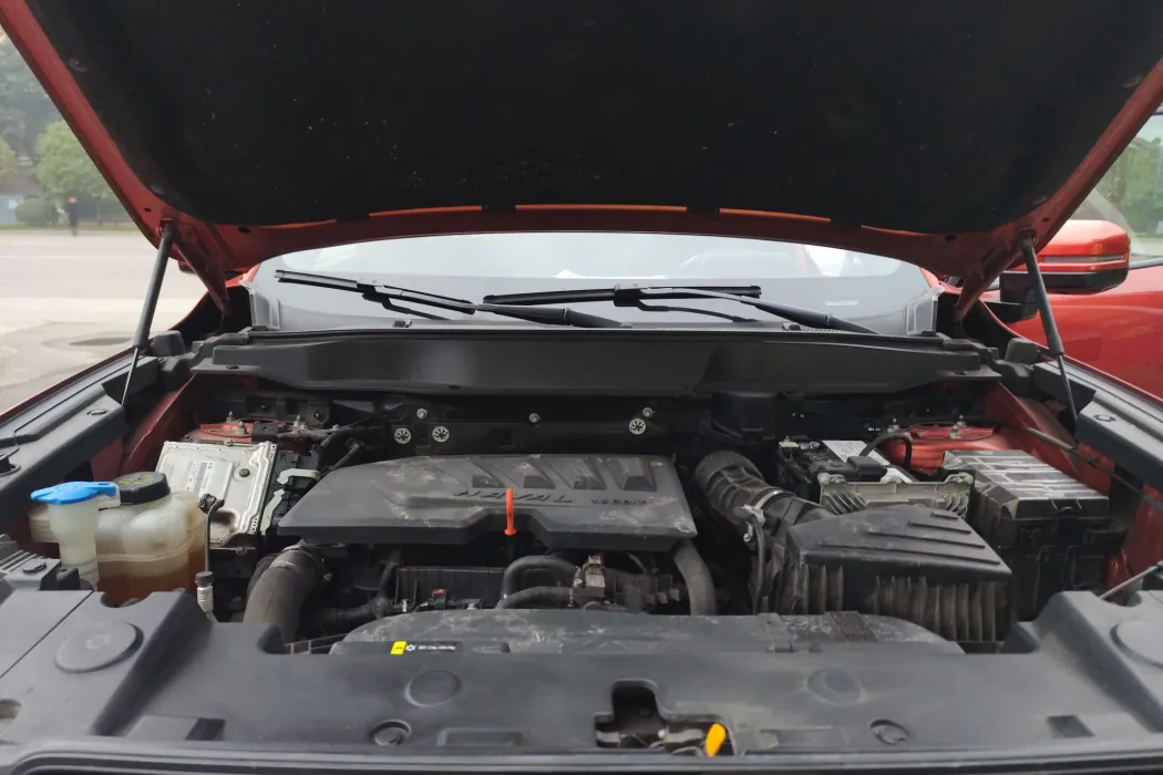 Haval Big Dog 2021 1.5T DCT Two-wheel drive Labrador Version