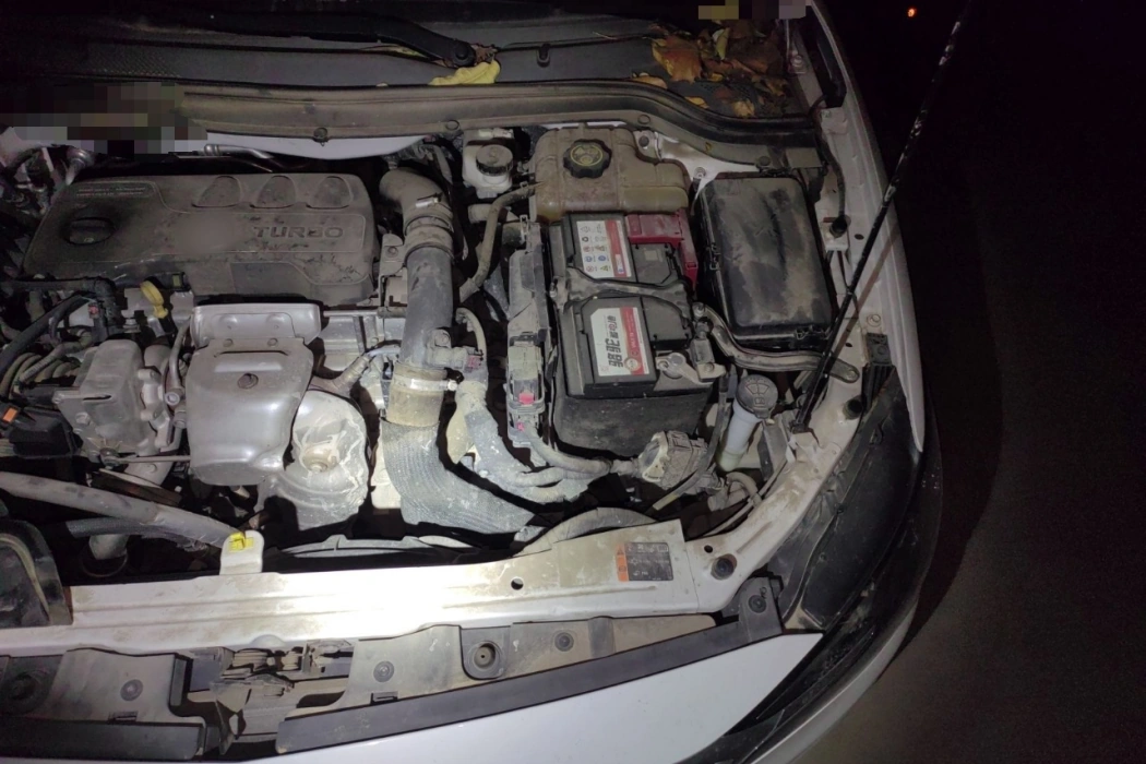 Фото машины 20