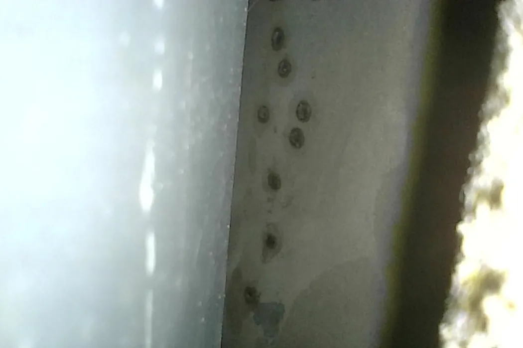 Toyota YARiS L Zhixuan 2019 1.5E CVT Charm Edition Country VI