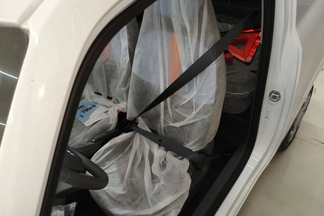 Geely Galaxy 2024 Panda mini 200km Endurance Bear