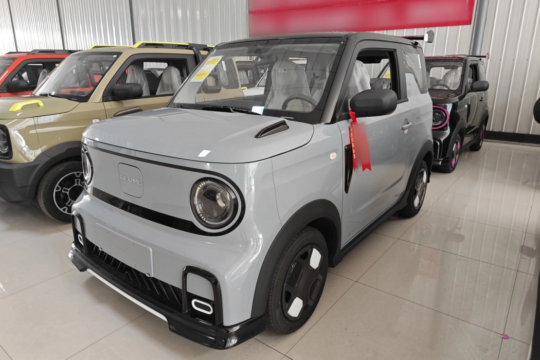 Geely Galaxy 2025 210km Panda Cardin