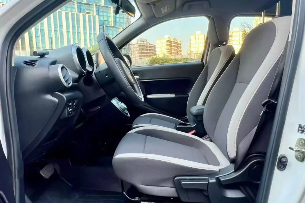 Euler Black Cat 2021 301km Cute Pet Version