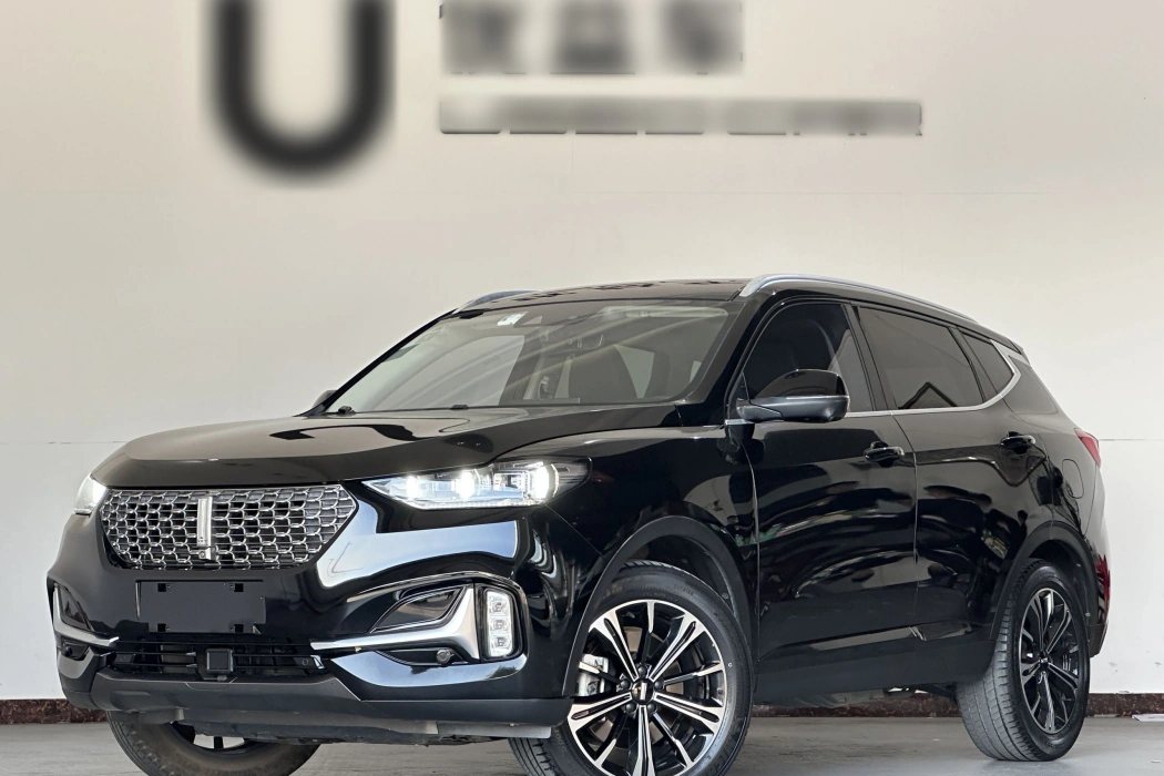 Wei brand VV6 2021 2.0T two-wheel drive smart protection+