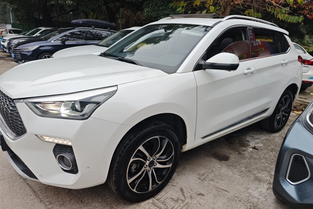 Haval H6 Coupe 2018 Red label 1.5T automatic two-wheel drive super luxury