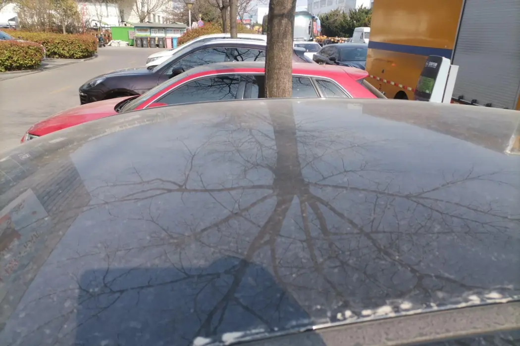 Фото машины