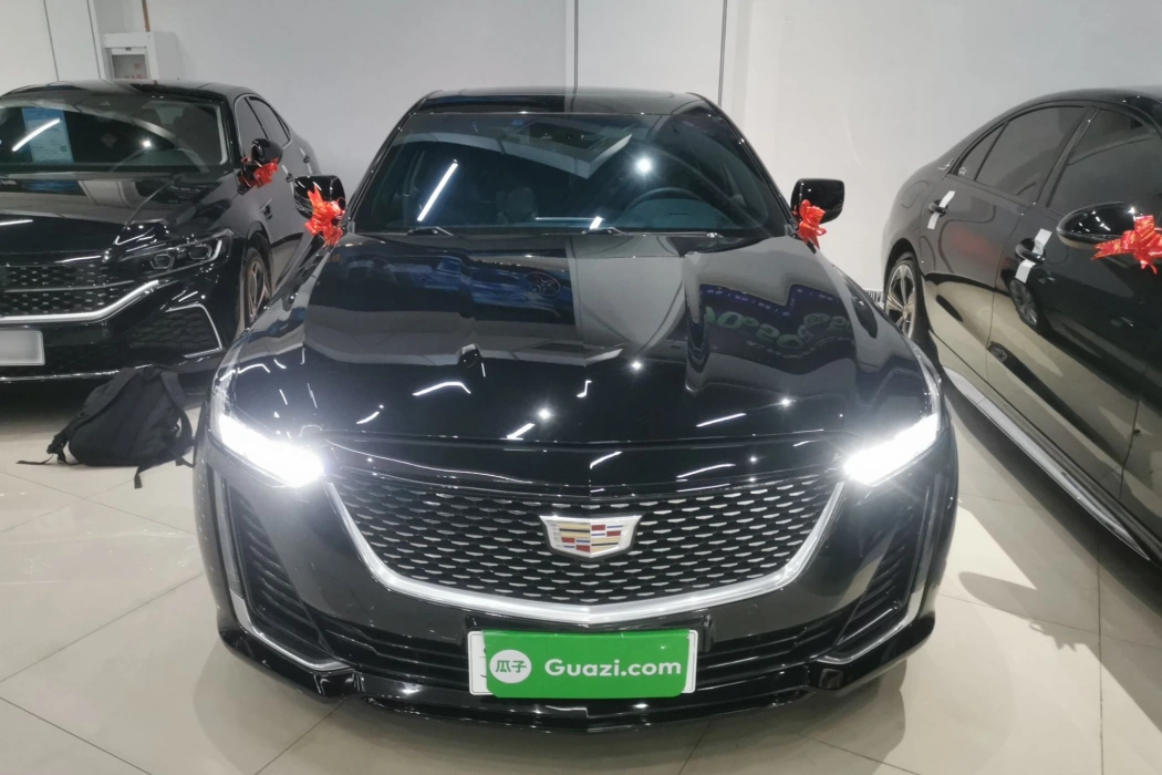 Фото машины 24