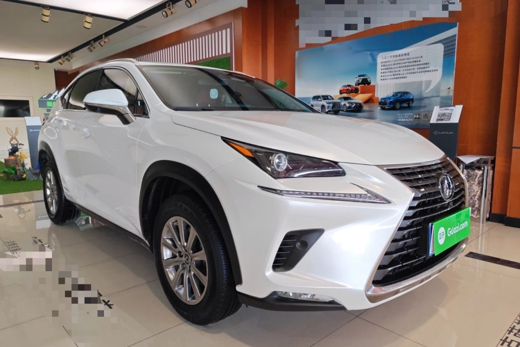 Lexus NX 2020 300h front drive Fengshang version Country VI