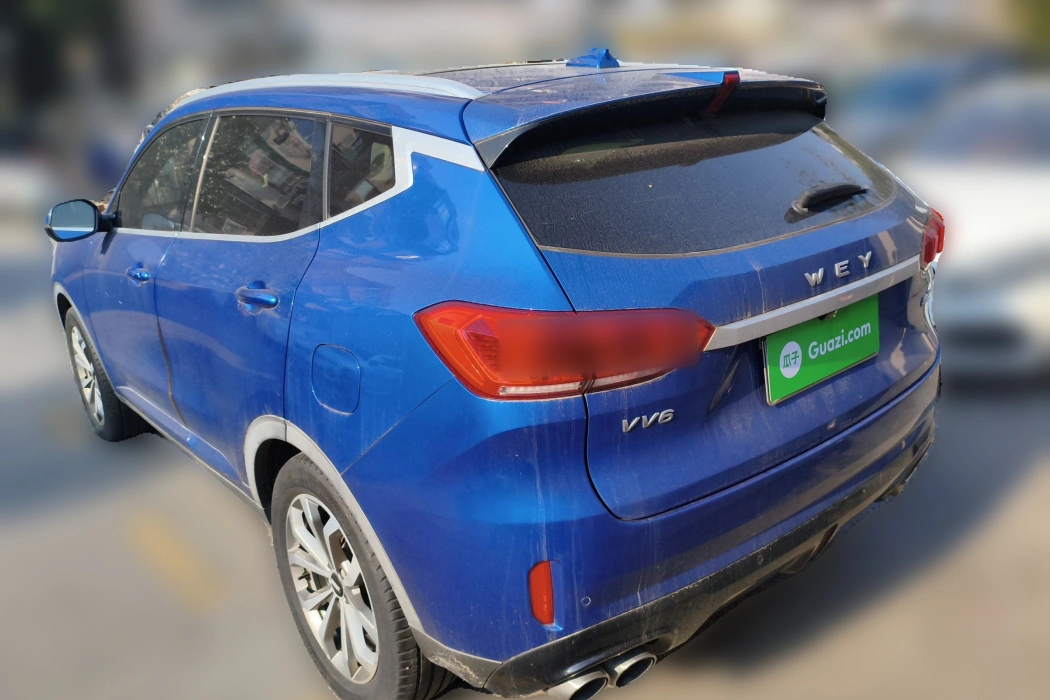 Wei brand VV6 2020 2.0T two-wheel drive smart enjoy+