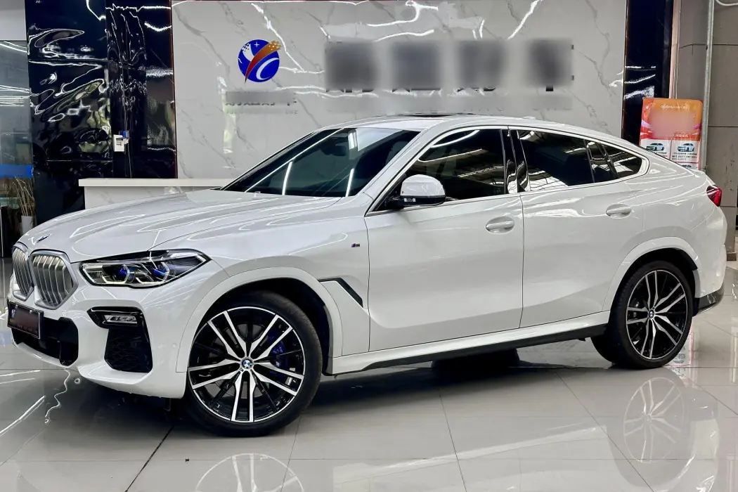BMW X6 2020 xDrive40i Premium M Sport Package