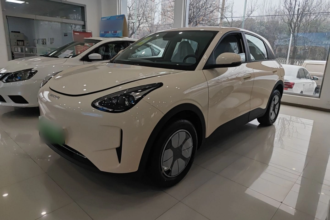 Geely Galaxy Wish 2025 310km Youth Edition