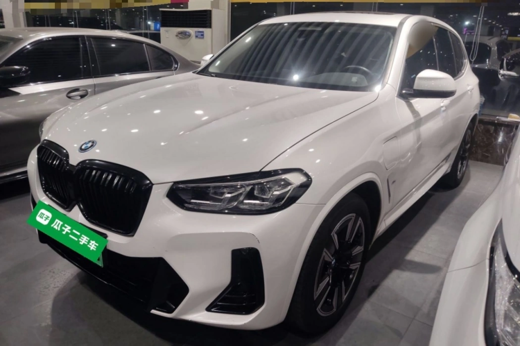 BMW iX3 2022 leading model