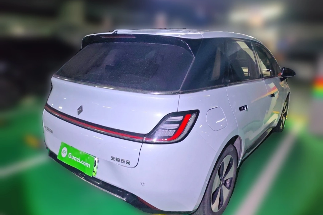 Baojun Yunduo 2023 460 Max Consonant Edition