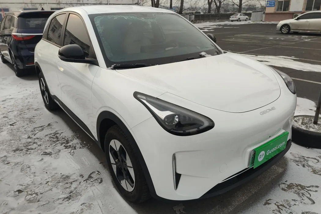 Geely Galaxy Wish 2025 310km Dream Edition