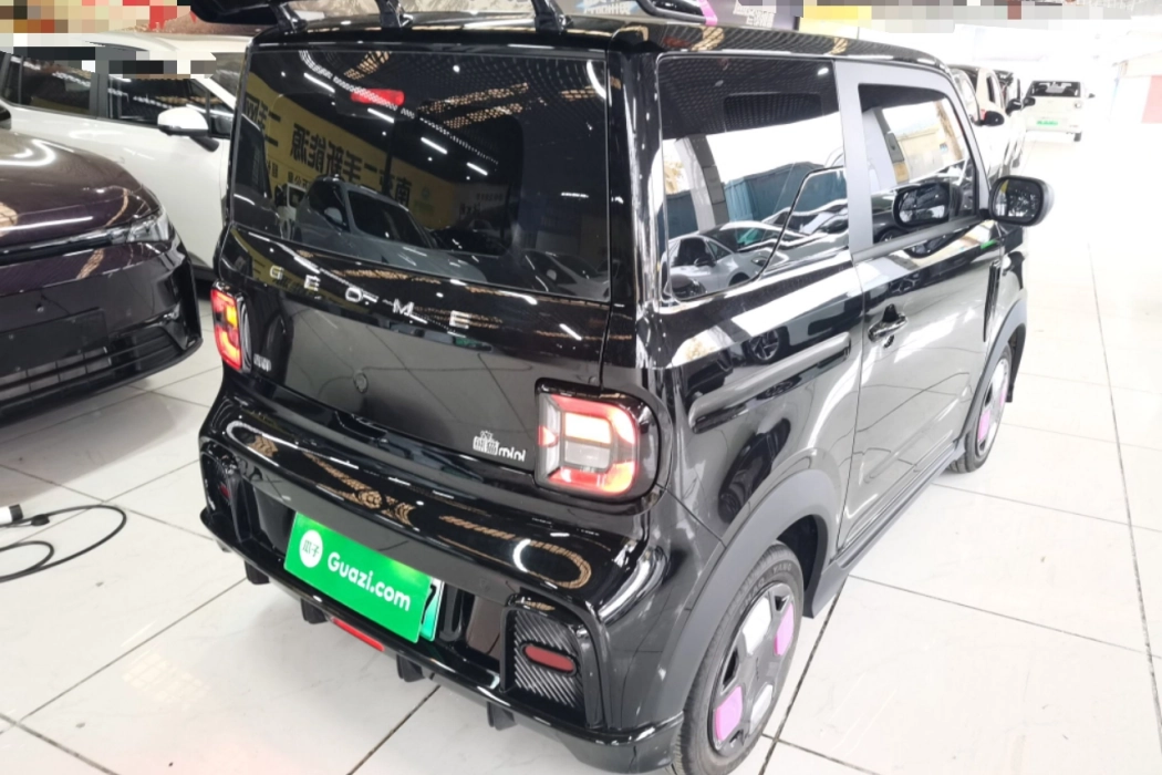 Geely Galaxy 2025 210km Panda Cardin