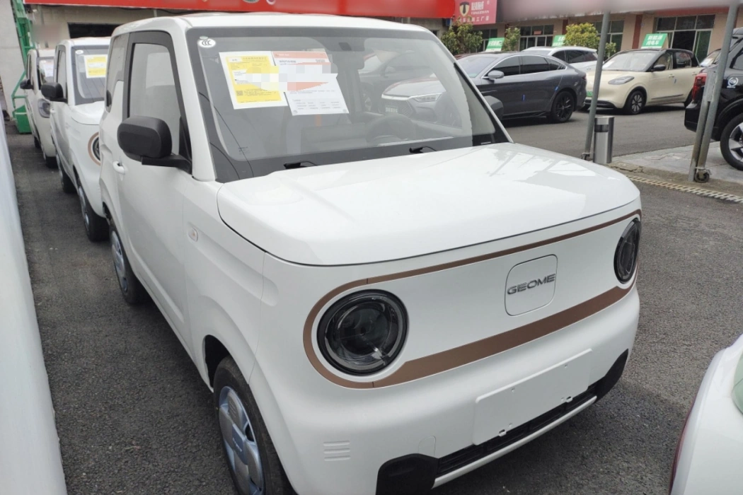 Geely Galaxy 2024 Panda mini 200km Endurance Bear