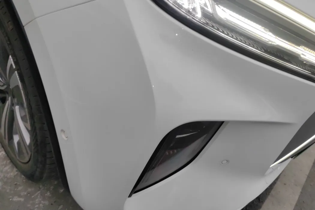 Hongqi E-HS9 2022 660km Qichang version six-seater