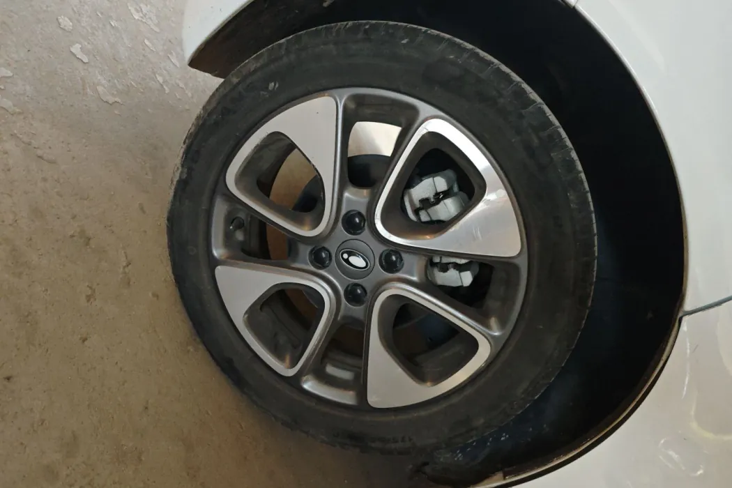 Euler White Cat 2022 Little Wild Cat Version 360km Luxury Ternary Lithium